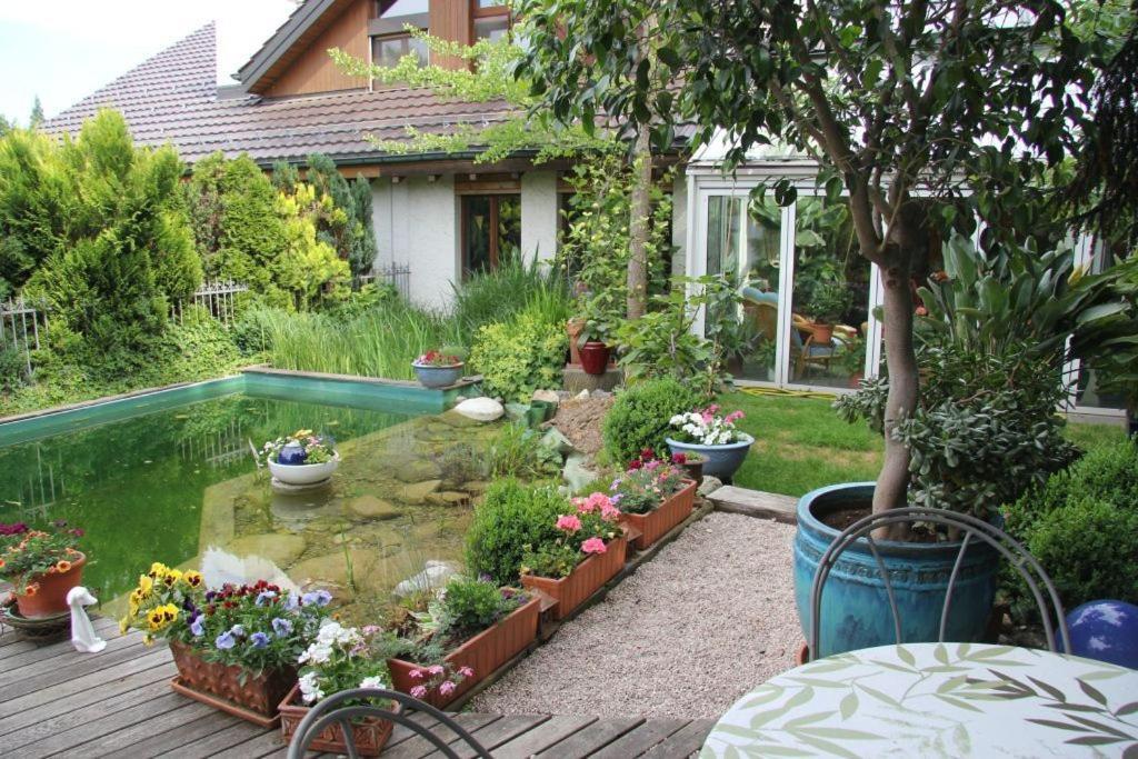 Bed & Breakfast Wepfer Grut Exterior photo